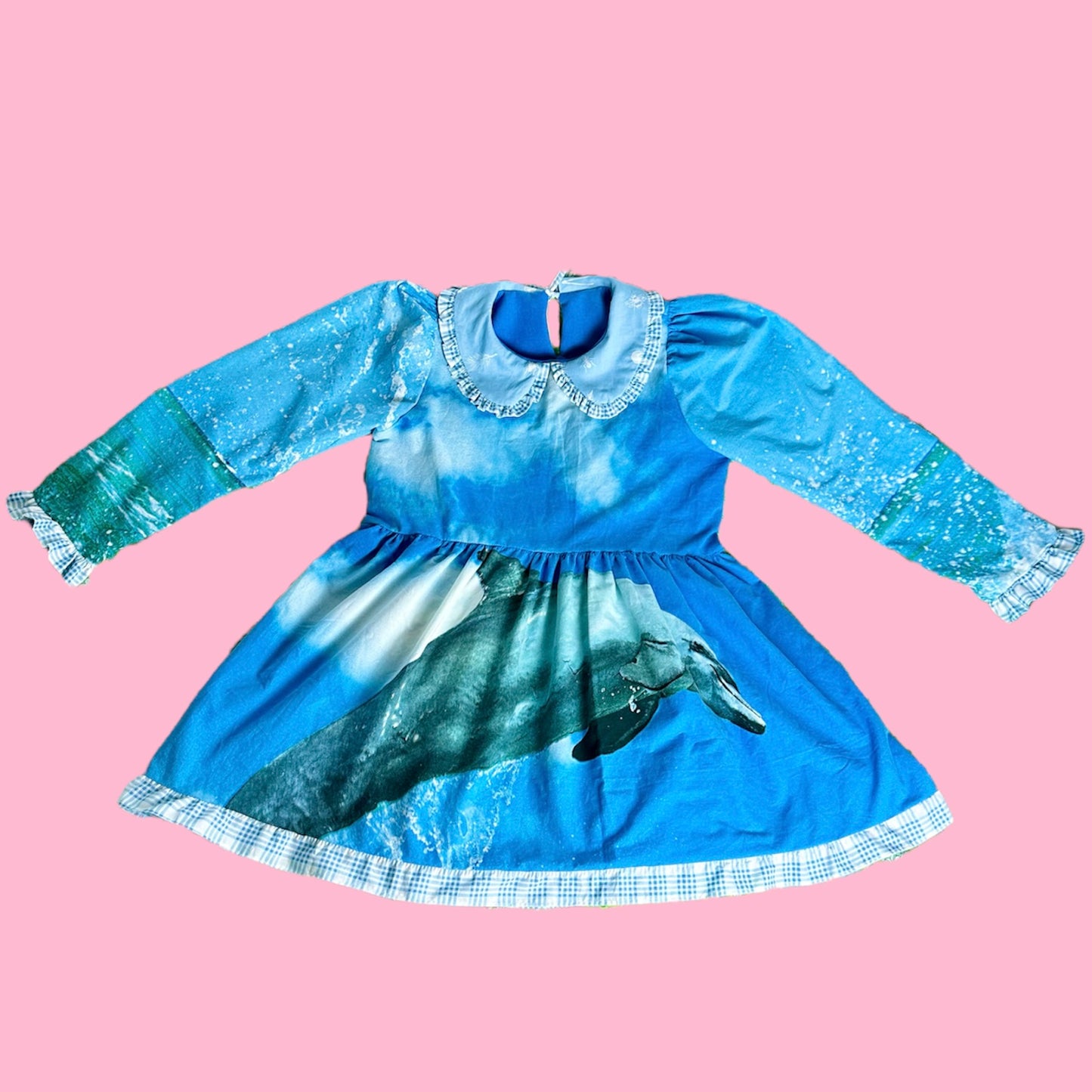 Dolphin Long Sleeved Babydoll Dress (M)